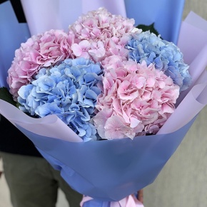 Букет из 5 голландских гортензий микс в Красногорске