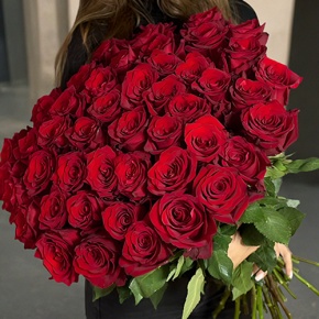 Букет 51 роза Эквадор Эксплорер (70 см) в Красногорске