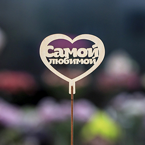 Топпер Самой Любимой в Красногорске