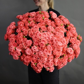 Букет из 39 коралловых кустовых роз (50 см) в Красногорске
