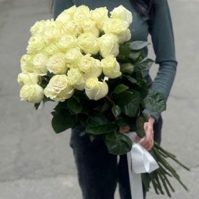 Монобукет из 25 роз Эквадор Мондиаль (80 см) в Красногорске