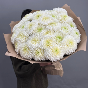 Букет из 27 хризантем Магнум в Красногорске