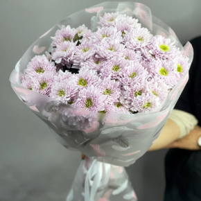 Букет "Нежный комплимент" из 9 кустовых хризантем в Красногорске