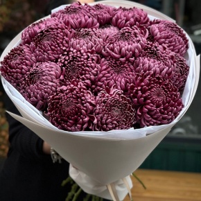 Букет 21 винной хризантемы Бигоуди в Красногорске