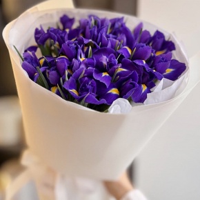 Букет из 21 ириса в Красногорске