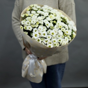 Букет "Милая моя" из 17 хризантем сантини в Красногорске