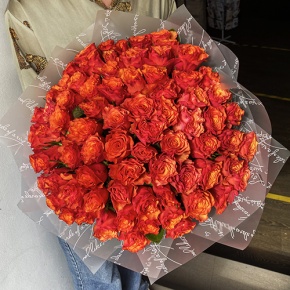 Букет 75 огненных роз (40 см) в Красногорске
