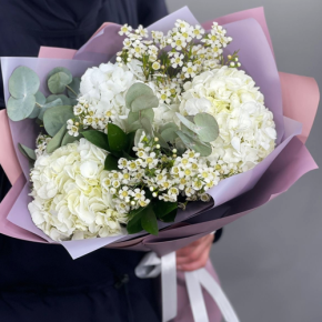 Букет "Суприм" из гортензий и хамелациума в Красногорске