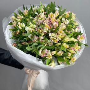 Букет "Зарина" из 37 альстромерий микс в Красногорске