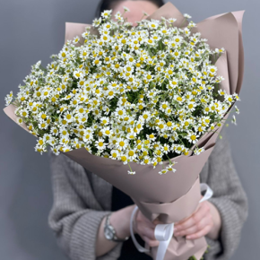 Букет из 17 полевых ромашек в Красногорске