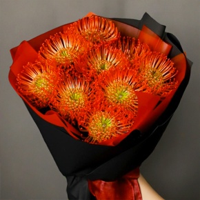 Букет из 9 лейко в Красногорске