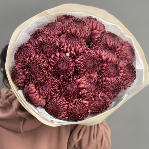 Букет 21 шоколадной хризантемы Бигоуди в Красногорске