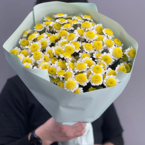 Букет "Моё солнышко" из 17 хризантем сантини в Красногорске