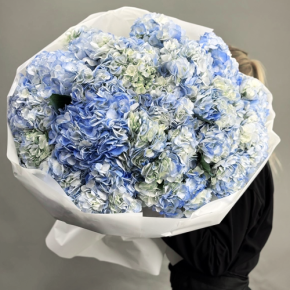 Букет из 23 синих гортензий в Красногорске