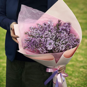 Букет из 11 веток сирени в Красногорске