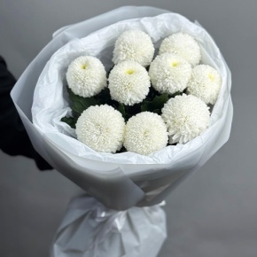 Букет из 9 белых хризантем Момоко в Красногорске
