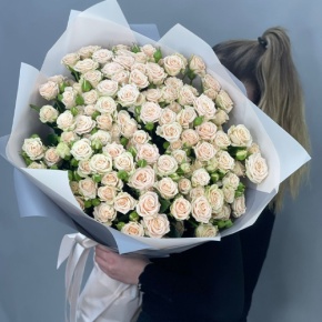 Букет из 25 кремовых кустовых роз (70 см) в Красногорске