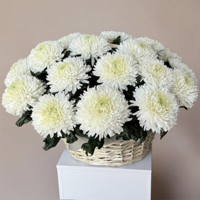 Композиция в корзине из 25 хризантем Магнум в Красногорске