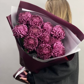 Букет "Изобилие" из 11 винных хризантем Бигоуди в Красногорске