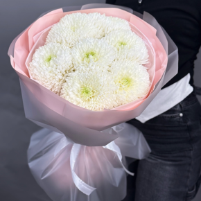 Нежный букет из 7 хризантем Магнум в Красногорске