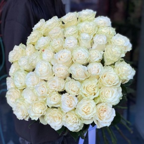 Букет из 51 розы Эквадор Мондиаль под ленту (80 см) в Красногорске