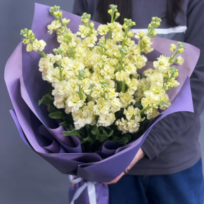 Букет из 15 лимонных маттиол в Красногорске