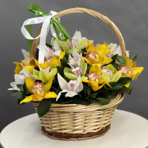 Композиция в корзине из 25 орхидей микс в Красногорске