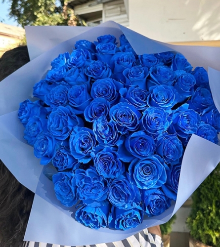 Букет из 51 синей розы Эквадор (60 см) в Красногорске