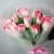 Букет "Фламинго" из 11 пионовидных тюльпанов в Красногорске Букет "Фламинго" из 11 пионовидных тюльпанов в Красногорске