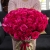 Букет 51 роза Эквадор Пинк Флоид (60 см) в Красногорске Букет 51 роза Эквадор Пинк Флоид (60 см) в Красногорске