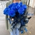15 синих LUX роз Эквадор (70 см) в Красногорске 15 синих LUX роз Эквадор (70 см) в Красногорске
