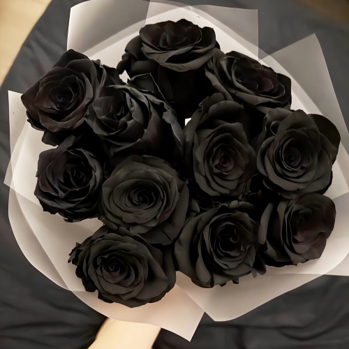 Букет "Черная королева" из 11 черных роз Эквадор (60 см) в Красногорске