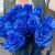 15 синих LUX роз Эквадор (70 см) в Красногорске 15 синих LUX роз Эквадор (70 см) в Красногорске