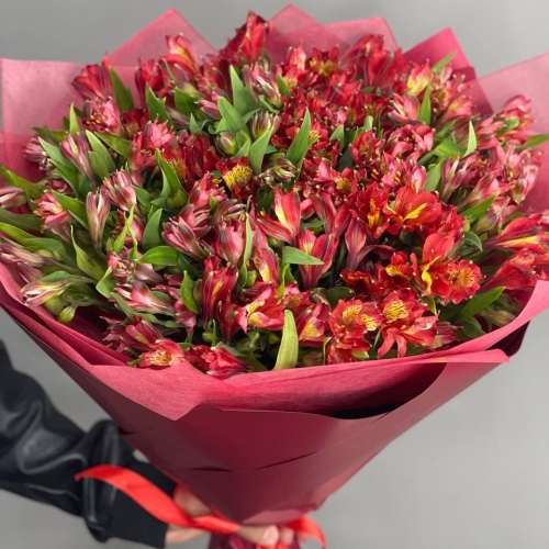 Монобукет из 25 красных альстромерий в Красногорске