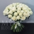 Букет 75 белых роз Эквадор Мондиаль (80 см) в Красногорске Букет 75 белых роз Эквадор Мондиаль (80 см) в Красногорске