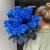 15 синих LUX роз Эквадор (70 см) в Красногорске 15 синих LUX роз Эквадор (70 см) в Красногорске