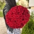 Букет 51 красной розы 50 см в Красногорске