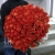 Букет 101 коралловая роза (60 см) в Красногорске Букет 101 коралловая роза (60 см) в Красногорске