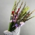 Букет из 25 гладиолусов микс в Красногорске Букет из 25 гладиолусов микс в Красногорске