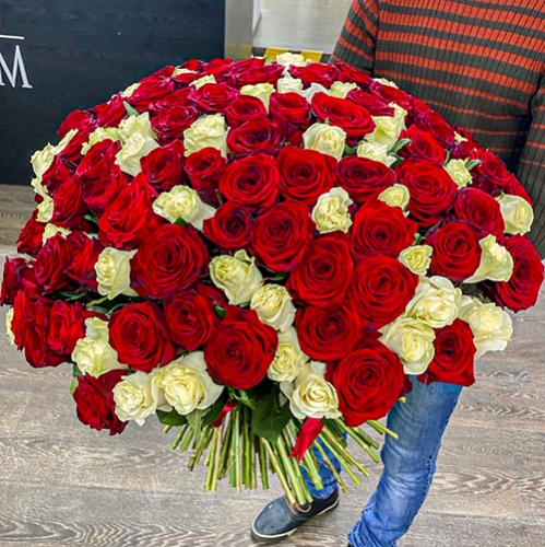 Букет 151 роза красный и белый микс (60 см) в Красногорске