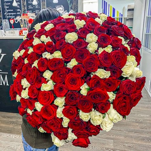 Букет 151 роза красный и белый микс (60 см) в Красногорске