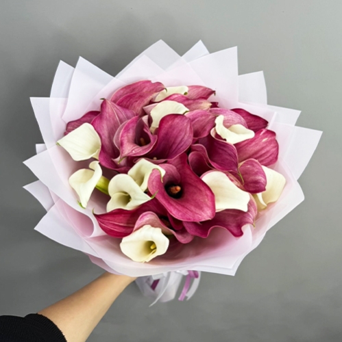 Букет из 25 нежных калл в Красногорске