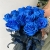 15 синих LUX роз Эквадор (70 см) в Красногорске 15 синих LUX роз Эквадор (70 см) в Красногорске
