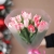 Букет "Фламинго" из 11 пионовидных тюльпанов в Красногорске Букет "Фламинго" из 11 пионовидных тюльпанов в Красногорске
