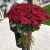 Букет из 101 красной розы (90 см) в Красногорске Букет из 101 красной розы (90 см) в Красногорске