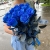 15 синих LUX роз Эквадор (70 см) в Красногорске 15 синих LUX роз Эквадор (70 см) в Красногорске