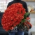 Букет 101 коралловая роза (60 см) в Красногорске Букет 101 коралловая роза (60 см) в Красногорске