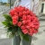 Букет 51 роза коралл (60 см) в Красногорске Букет 51 роза коралл (60 см) в Красногорске