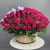 Композиция в корзине из 151 малиновой розы в Красногорске Композиция в корзине из 151 малиновой розы в Красногорске