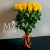 Букет 25 желтых роз эквадор (60 см) в Красногорске Букет 25 желтых роз эквадор (60 см) в Красногорске